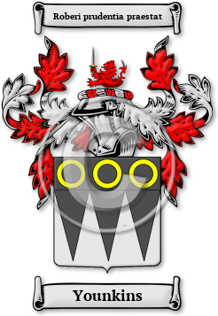 Younkins Family Crest Download (jpg) Legacy Series - 150 DPI