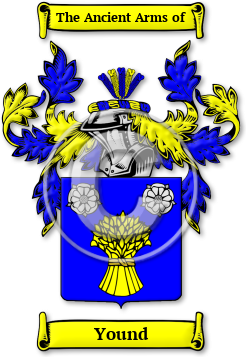Yound Family Crest Download (JPG) Legacy Series - 600 DPI