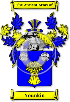 Younkin Family Crest Download (jpg) Legacy Series - 150 DPI