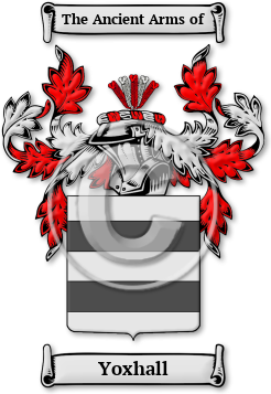 Yoxhall Family Crest Download (jpg) Legacy Series - 150 DPI