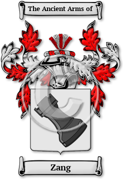 Zang Family Crest Download (JPG) Legacy Series - 600 DPI