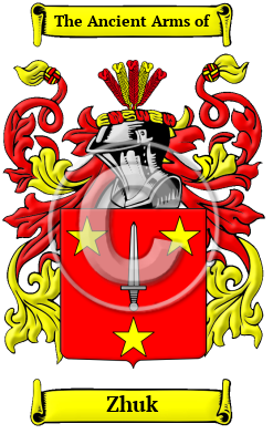 Zhuk Family Crest/Coat of Arms
