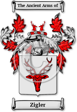 Zigler Family Crest Download (jpg) Legacy Series - 150 DPI