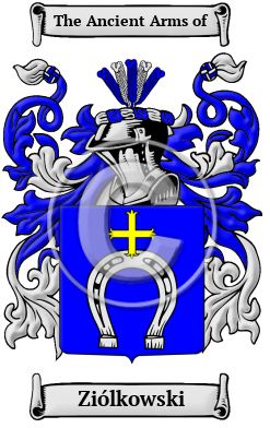 Ziólkowski Family Crest Download (JPG) Heritage Series - 600 DPI