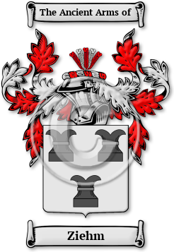 Ziehm Family Crest Download (jpg) Legacy Series - 150 DPI