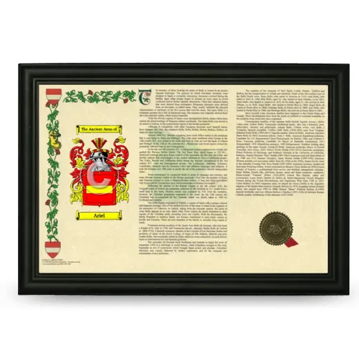 Ariel Armorial Landscape Framed - Black