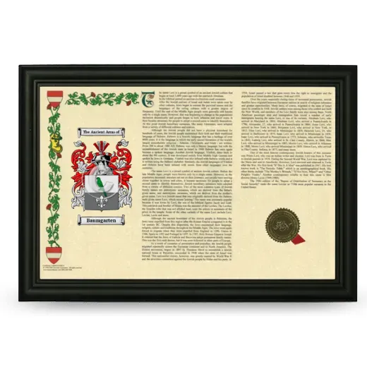 Baumgarten Armorial Landscape Framed - Black