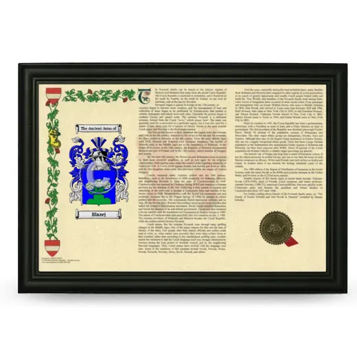 Blazej Armorial Landscape Framed - Black