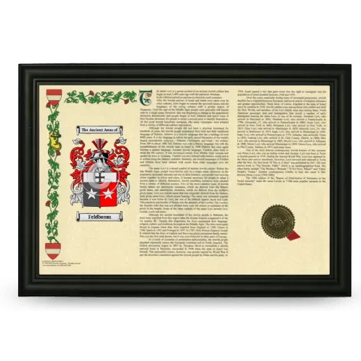 Feldbaum Armorial Landscape Framed - Black