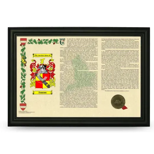 Hannun Armorial Landscape Framed - Black