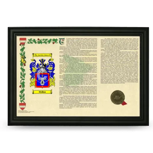 Molina Armorial Landscape Framed - Black