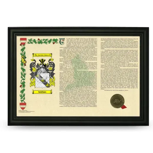 Salehan Armorial Landscape Framed - Black