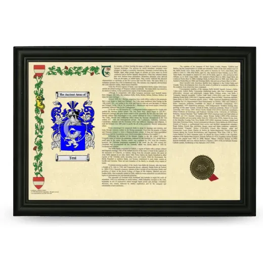 Tesi Armorial Landscape Framed - Black