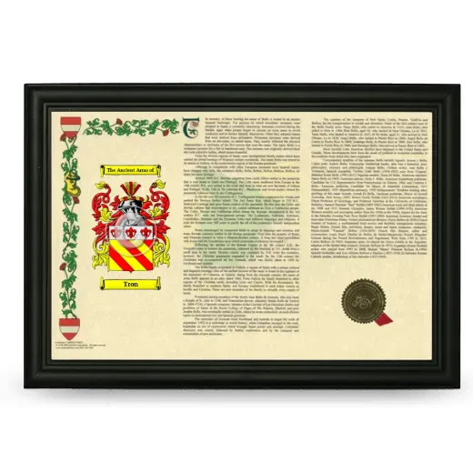 Tron Armorial Landscape Framed - Black