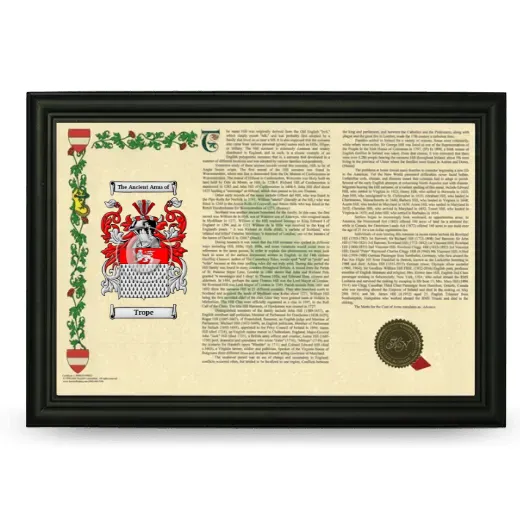 Trope Armorial Landscape Framed - Black