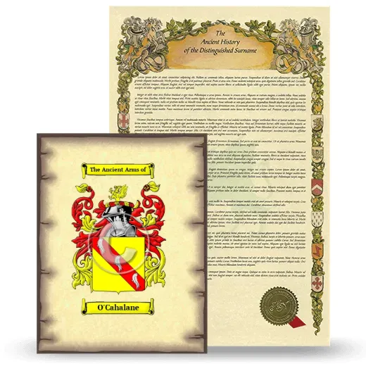 O'Cahalane Coat of Arms and Surname History Package
