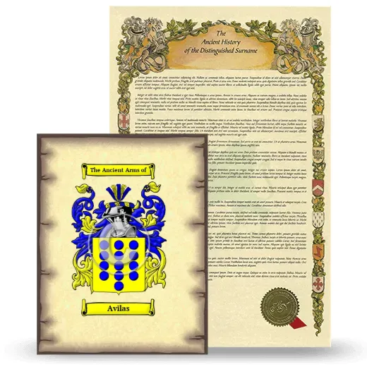 Avilas Coat of Arms and Surname History Package