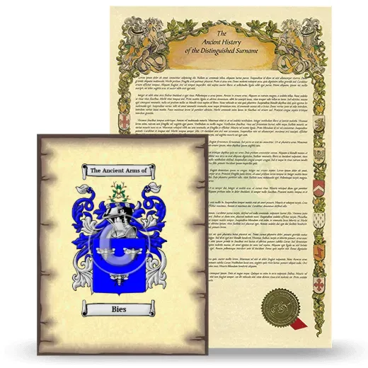 Bies Coat of Arms and Surname History Package