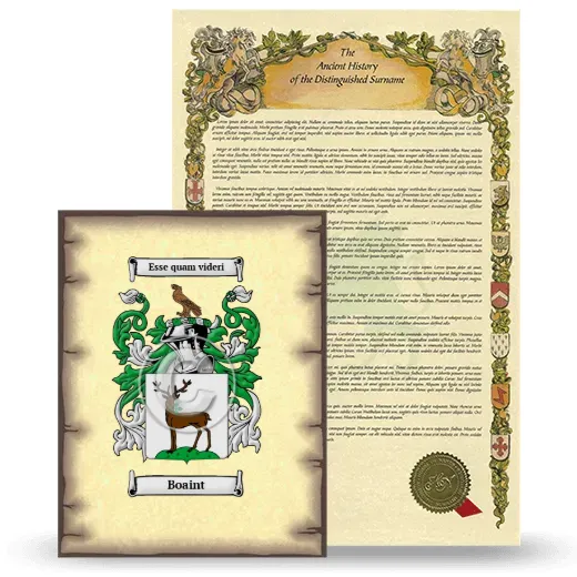 Boaint Coat of Arms and Surname History Package