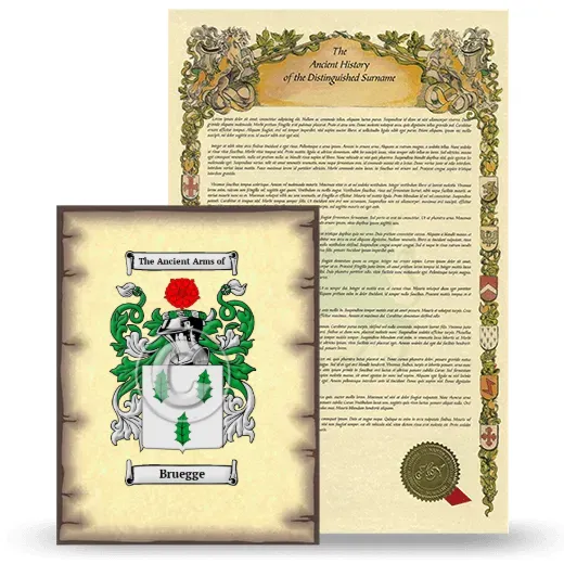 Bruegge Coat of Arms and Surname History Package