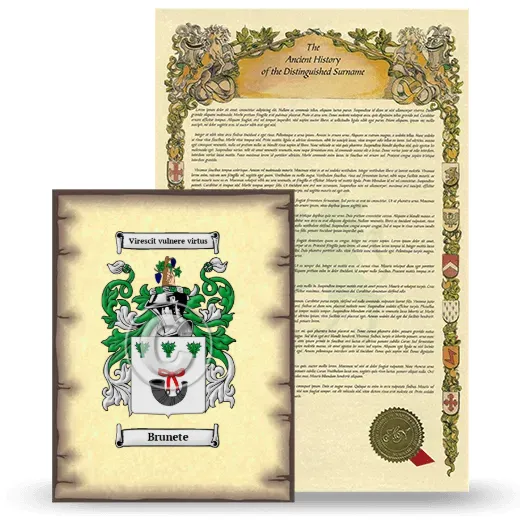 Brunete Coat of Arms and Surname History Package