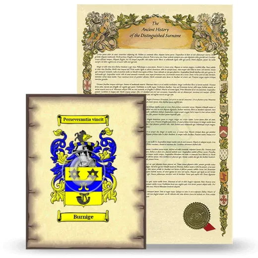 Burnige Coat of Arms and Surname History Package