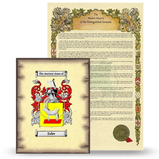 Esler Coat of Arms and Surname History Package