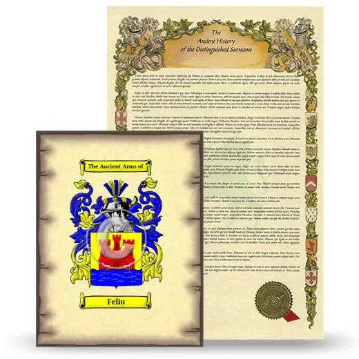 Feliu Coat of Arms and Surname History Package
