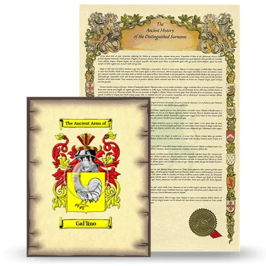 Gal'lino Coat of Arms and Surname History Package