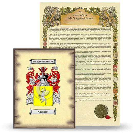 Ganser Coat of Arms and Surname History Package