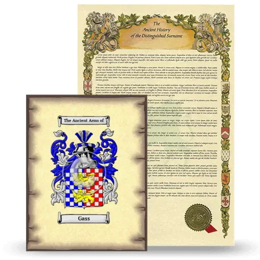 Gass Coat of Arms and Surname History Package