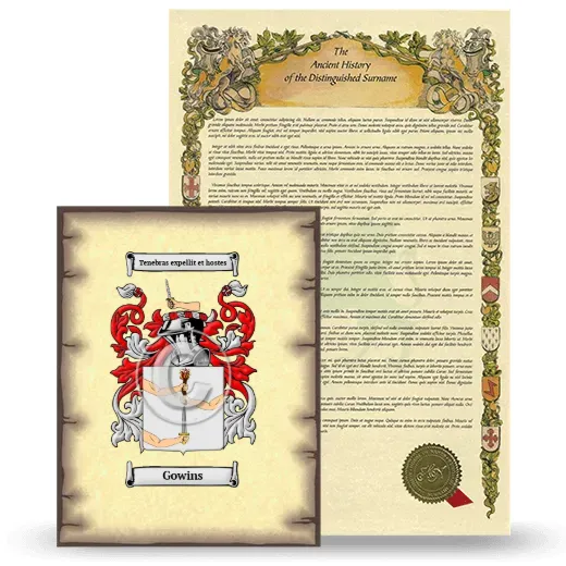 Gowins Coat of Arms and Surname History Package