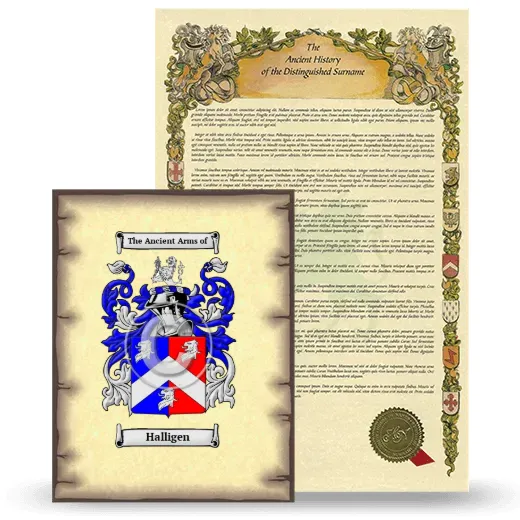 Halligen Coat of Arms and Surname History Package