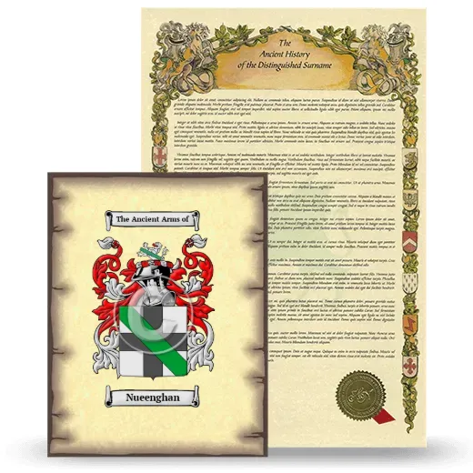 Nueenghan Coat of Arms and Surname History Package