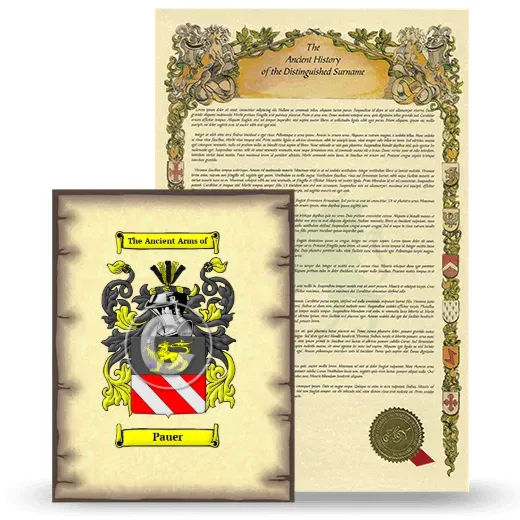 Pauer Coat of Arms and Surname History Package