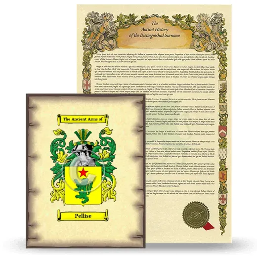 Pellise Coat of Arms and Surname History Package