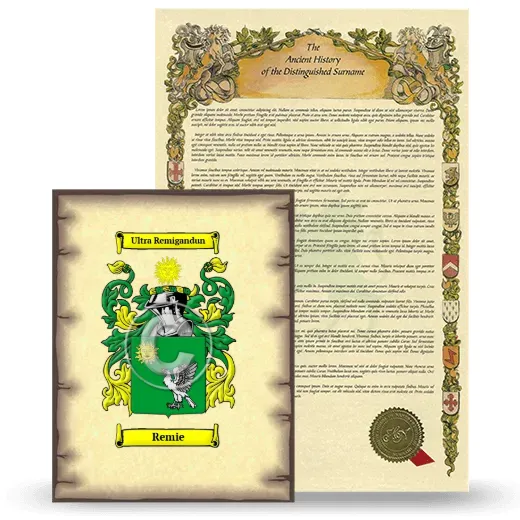Remie Coat of Arms and Surname History Package