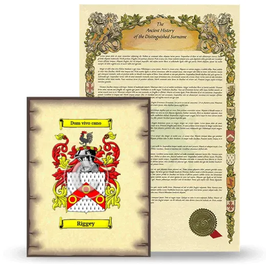 Riggey Coat of Arms and Surname History Package
