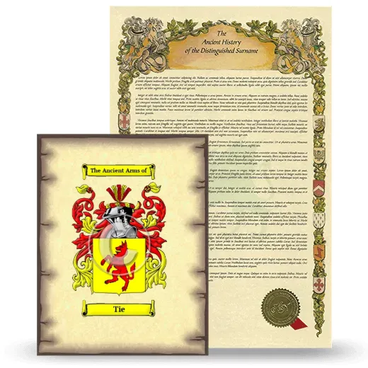 Tie Coat of Arms and Surname History Package
