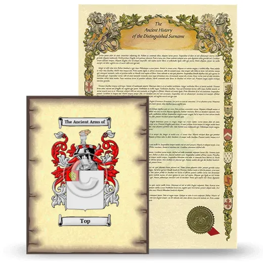 Top Coat of Arms and Surname History Package