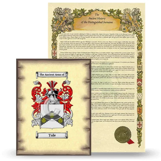 Tule Coat of Arms and Surname History Package
