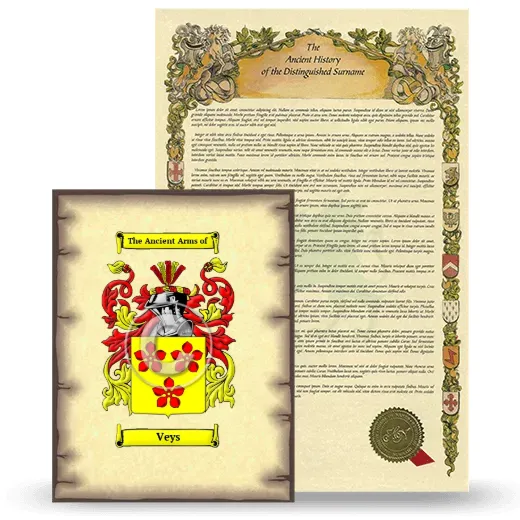 Veys Coat of Arms and Surname History Package