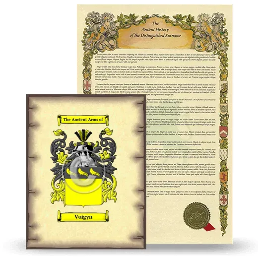Voigyn Coat of Arms and Surname History Package