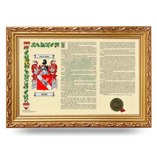 Dávid Armorial Landscape Framed - Gold