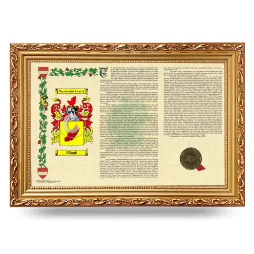 Pflugk Armorial Landscape Framed - Gold