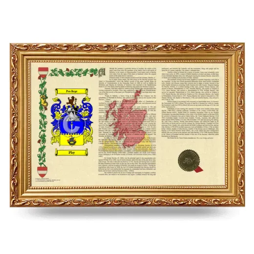 Phy Armorial Landscape Framed - Gold