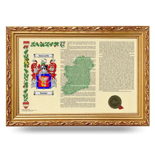 Strasse Armorial Landscape Framed - Gold