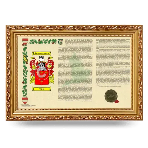 Tiple Armorial Landscape Framed - Gold