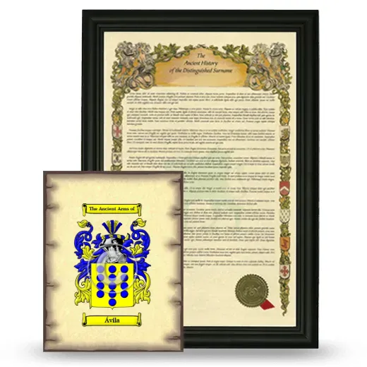 Ávila Framed History and Coat of Arms Print - Black