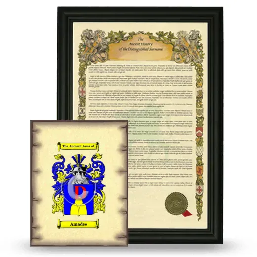 Amadeo Framed History and Coat of Arms Print - Black